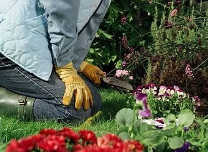 giardinaggio
