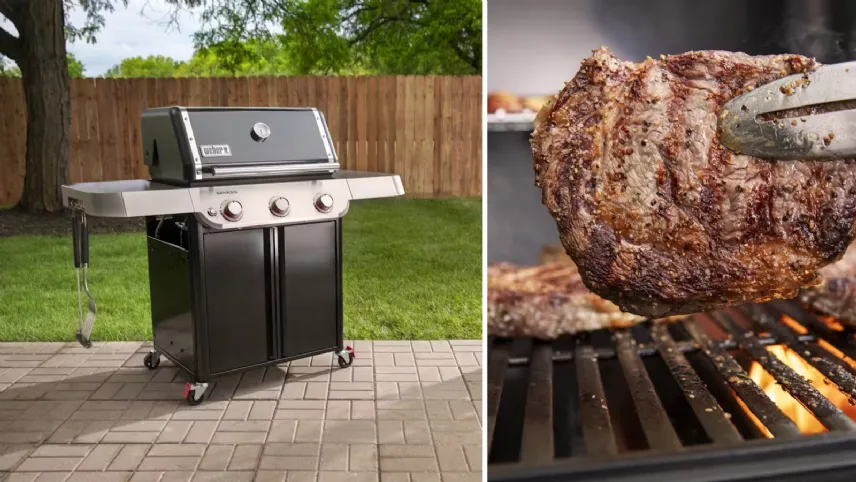 Genesis E-315 di Weber