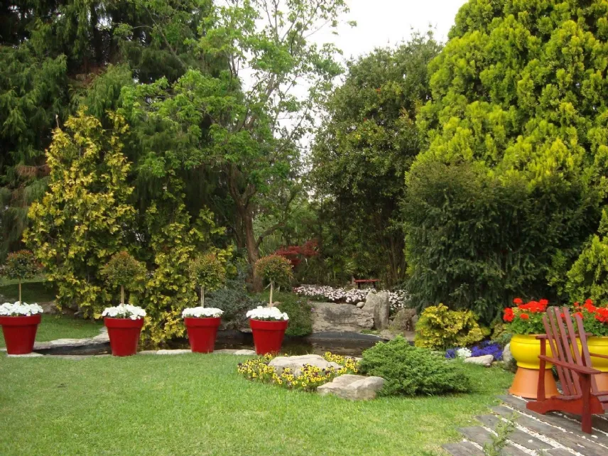 hobby giardinaggio