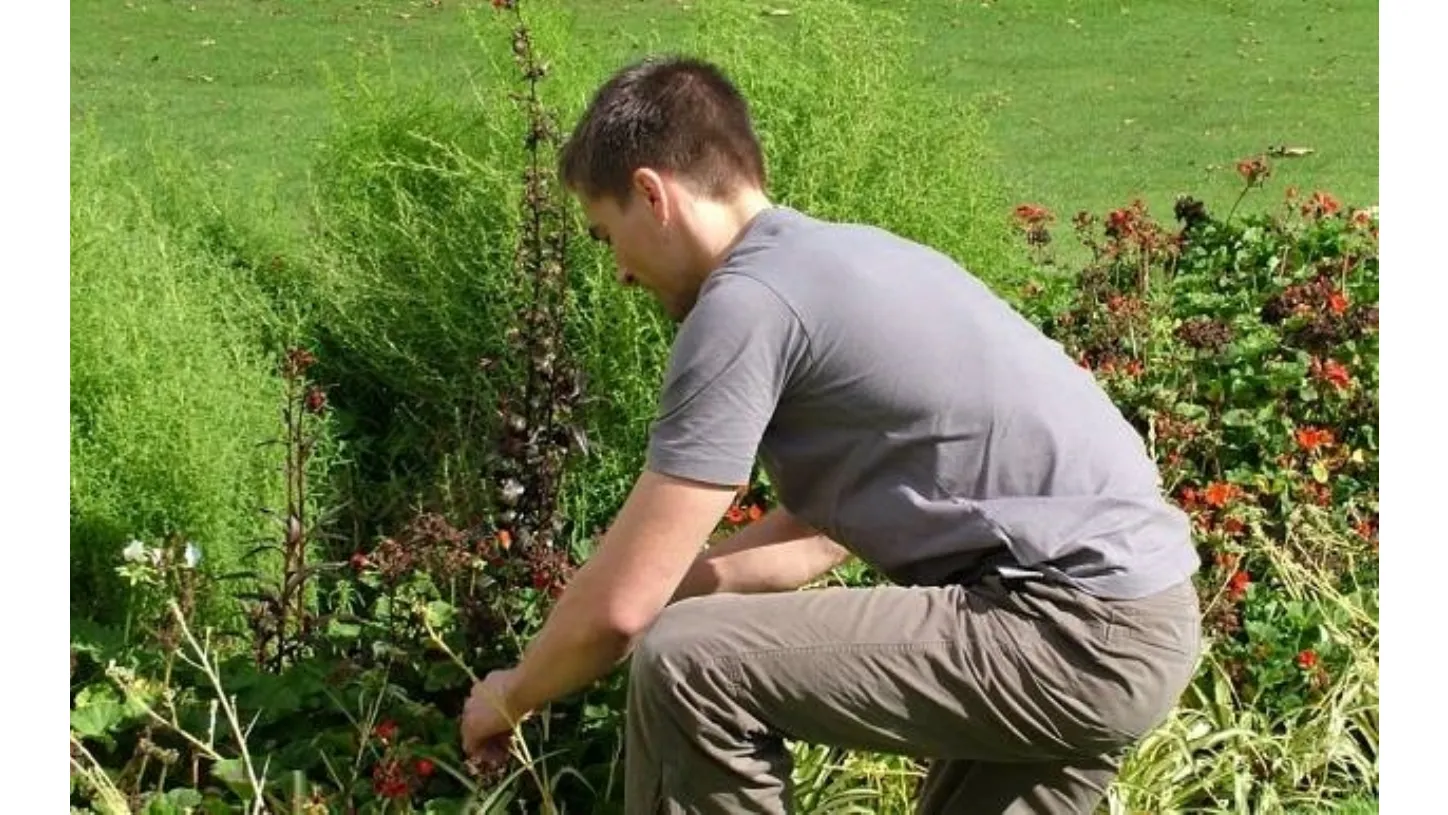 giardino